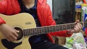 成人学打字教程视频全集,成人学打字教程视频全集概览