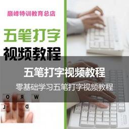 成人学打字教程视频全集,成人学打字教程视频全集概览