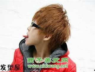 成人头发制作视频大全图片,成人头发制作视频大全解析