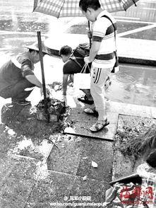 成人滑进下水道视频,成人滑入下水道，紧急救援行动展开