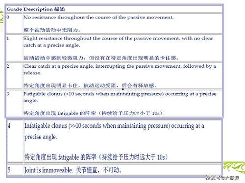 肌张力的评估视频成人,成人运动功能与健康指标解析