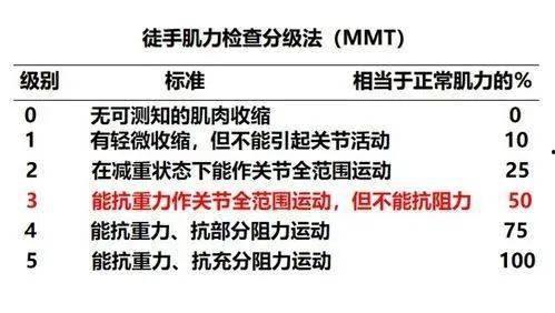 肌张力的评估视频成人,成人运动功能与健康指标解析