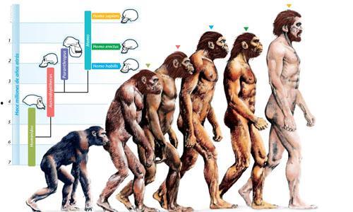 进化成人真实视频教程,进化过程的真实视频解析