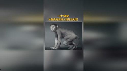 进化成人真实视频教程,进化过程的真实视频解析