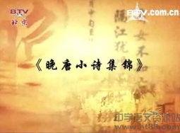 成人解读唐诗大全视频,成人视角下的经典解读与感悟