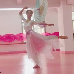 成人古典舞基础入门视频,跟随基础视频，领略国韵之美