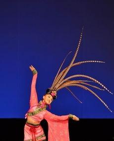 成人古典舞基础入门视频,跟随基础视频，领略国韵之美