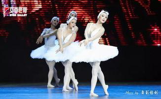 成人芭蕾演出视频大全,成人芭蕾演出视频大全赏析