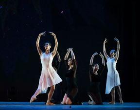 成人芭蕾演出视频大全,成人芭蕾演出视频大全赏析