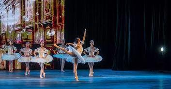 成人芭蕾演出视频大全,成人芭蕾演出视频大全赏析