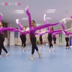 智力障碍成人舞蹈视频,智力障碍成人舞蹈的魅力瞬间