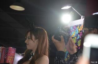 蝴蝶拍拍板成人版视频,成人版互动体验深度解析