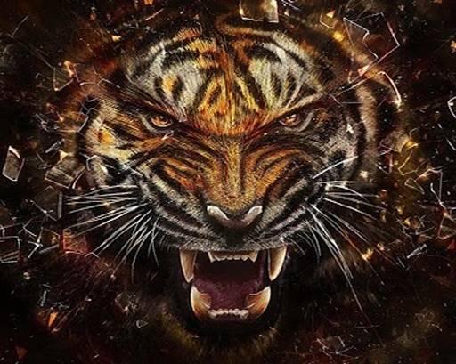 成人老虎图案图解视频,成人视角下的威猛与神秘