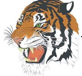 成人老虎图案图解视频,成人视角下的威猛与神秘