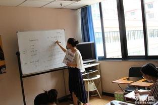 成人英语培训体验课视频,互动体验，轻松入门