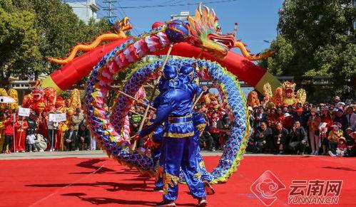 成人舞龙全套教程视频,从入门到精通，全套视频教学解析