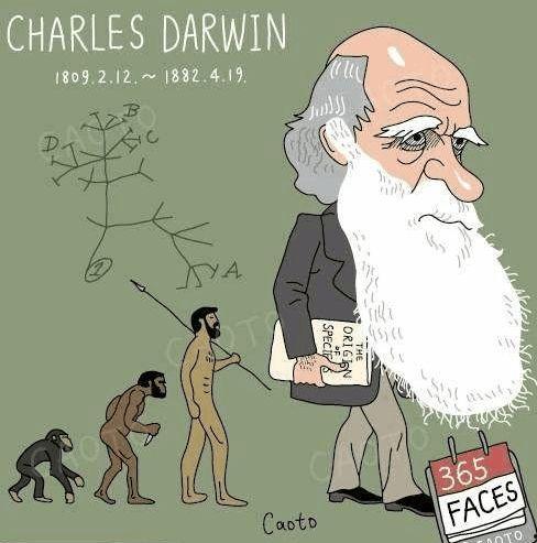 猴子变成人真的吗视频,揭秘真实的人类起源