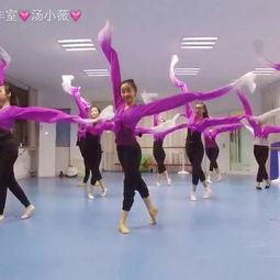 成人舞蹈诗韵舞蹈视频,成人舞蹈诗韵之美