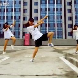 成人班舞蹈作品视频教学,成人班舞蹈作品解析与学习指南