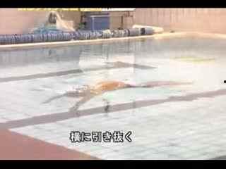 成人脚蹼游泳视频,成人脚蹼游泳技巧揭秘
