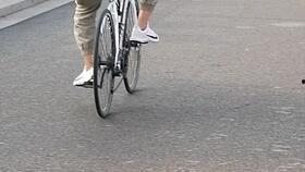 怎么学成人自行车视频,成人自行车学习视频攻略