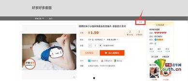 在线视频成人在线视频,监管挑战与伦理反思