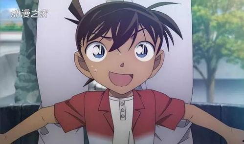 柯南成人版动漫视频,揭秘黑衣组织的秘密与成长之旅