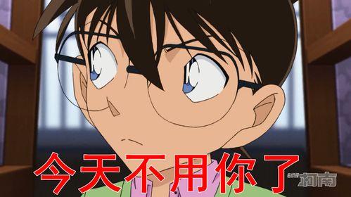 柯南成人版动漫视频,揭秘黑衣组织的秘密与成长之旅