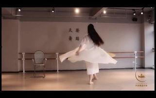 成人启蒙班舞蹈视频教学,轻松入门成人启蒙班舞蹈学习