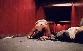 海外精品成人免费视频,探索激情瞬间