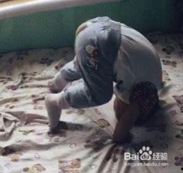 成人前庭怎么训练视频,全方位提升平衡与协调能力