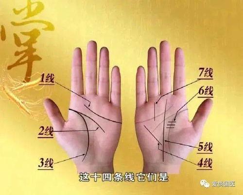 刮痧成人退烧法视频讲解,成人退烧不求医——揭秘刮痧退烧神奇技巧