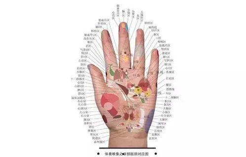 刮痧成人退烧法视频讲解,成人退烧不求医——揭秘刮痧退烧神奇技巧